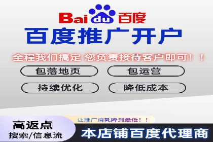 SEM托管公司案例：优化与增长